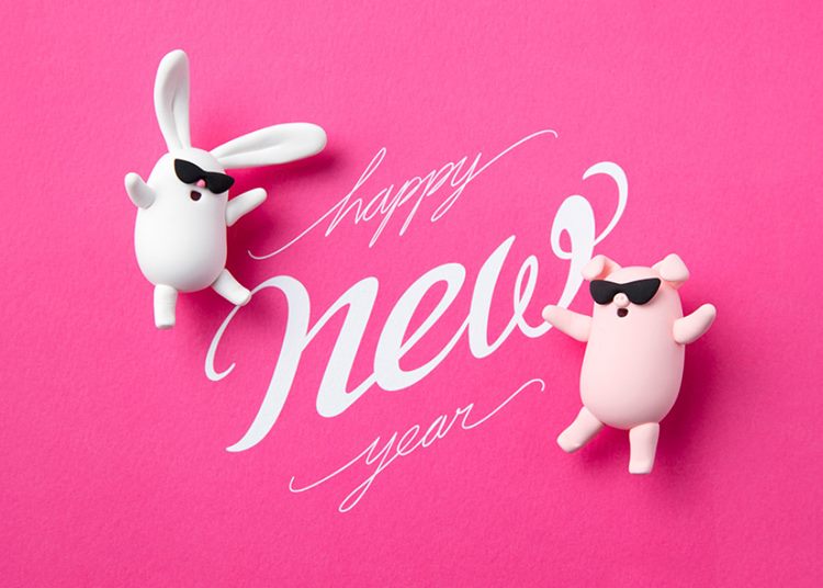 超酷2019粉色系新年猪猪侠和兔子高清素材