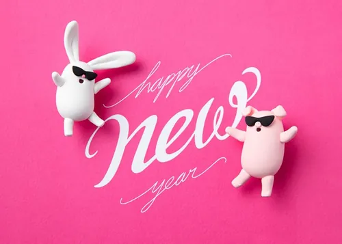 超酷2019粉色系新年猪猪侠和兔子高清素材