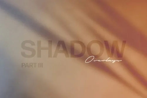 高质量潮流建筑光斑植物阳光阴影设计辅助装饰素材 Shadow