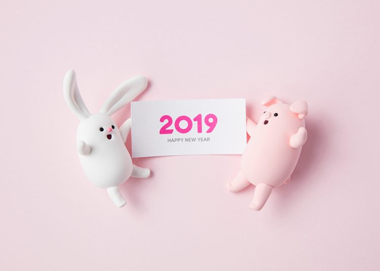 可爱超萌小兔兔和小猪猪新年报喜高清素材合辑