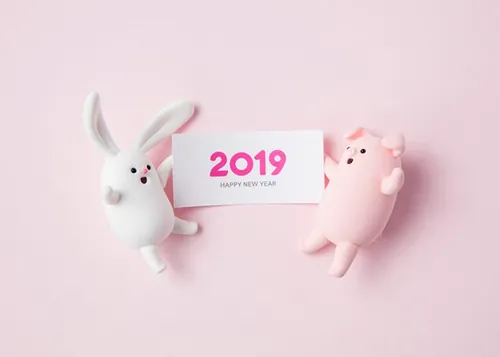 可爱超萌小兔兔和小猪猪新年报喜高清素材合辑