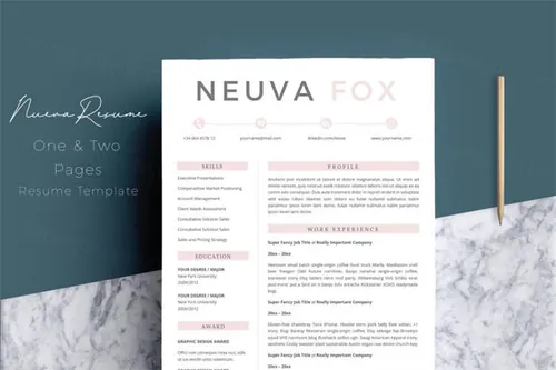 简洁的简历模板 Résumé Templates CV 4 Pages