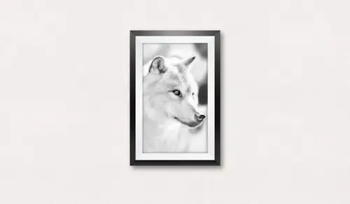 相框模型PSD贴图模板Photo Frame Mockup 样机模版