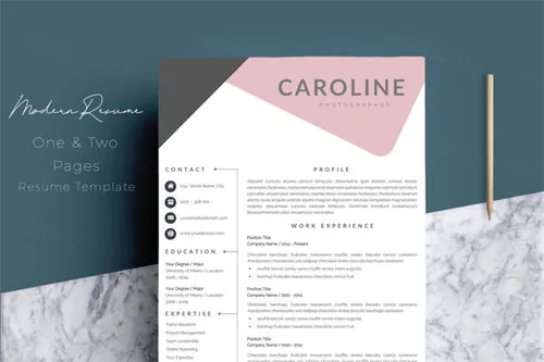 个人简历模板 Résumé Templates  CV Template