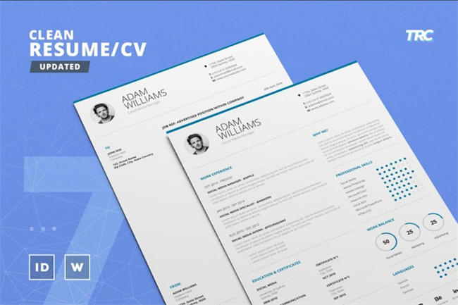 干净的简历模板 Clean ResumeCv Template Volume 7