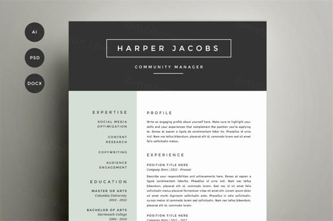 个人求职简历下载 Resume Template 4 Pack CV Template