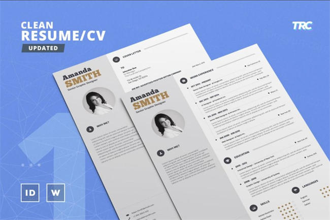 干净简历模板 Clean Resume Cv Template Volume