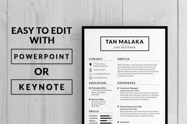 专业简历模板下载 Easy Resume