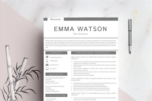 专业个人简历表 Resume template   FREE Cover Letter