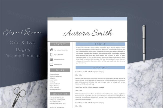 专业简历下载 Résumé Templates CV