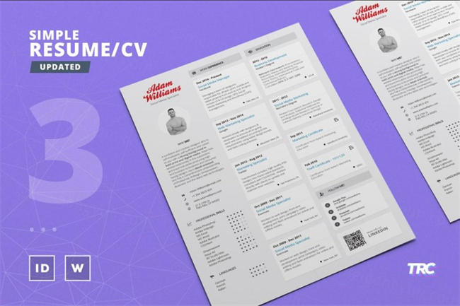 简单简历模板 Simple Resume Cv Template Volume 3
