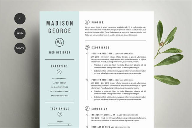 清新专业简历模板 Resume  Cover Letter Template