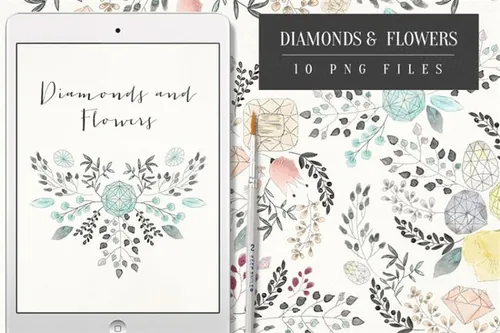 水彩钻石插画简历素材 Diamonds and Flowers