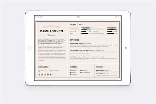 经典微软WORD简历模板 Microsoft WORD Resume