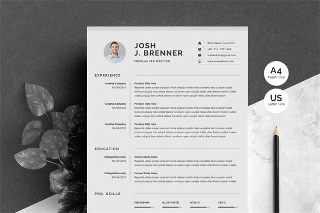 干净简历表模板 Clean CV Template