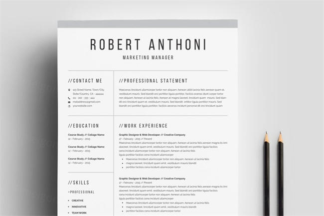 干净的个人简历模板 Clean Professional Resume Template