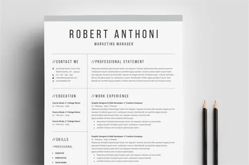 干净的个人简历模板 Clean Professional Resume Template