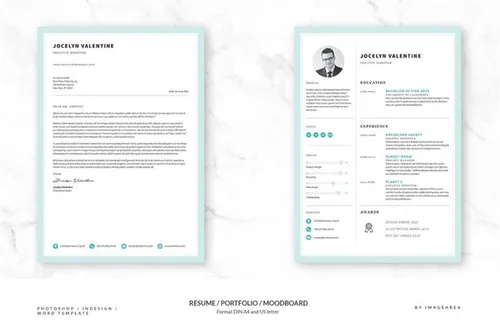 干净的简历表下载 Resume Portfolio Moodboard