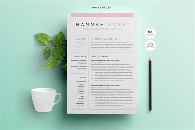 极简主义简历模板下载 Sweet CV 3-Pages in MS Word