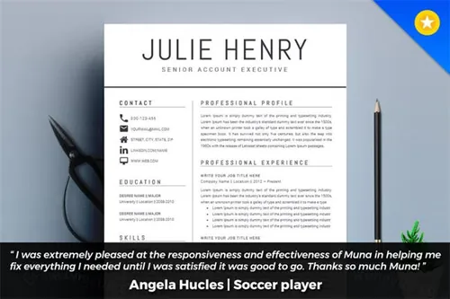 专业时尚的简历模板 Resume CV Template