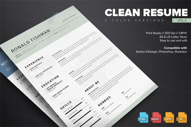 干净简历模板第2卷 Clean Resume Template
