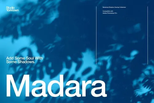 15个高分辨率流行植物阴影剪影PS叠加层素材 Madara