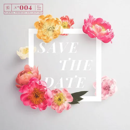 粉色系花朵免扣png元素三八情人节海报合成元素