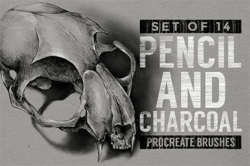 铅笔木炭蜡笔素描画笔数字艺术笔刷 Pencil  charcoal P