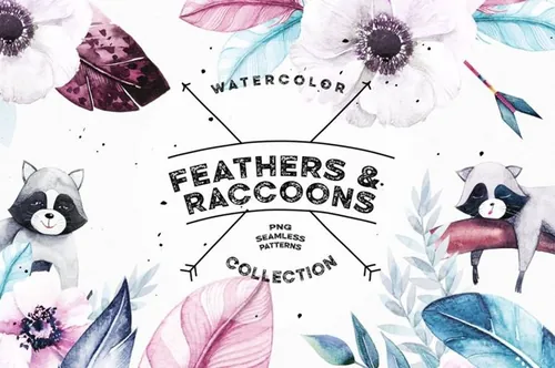 水彩羽毛和浣熊素材 Watercolor Feathers
