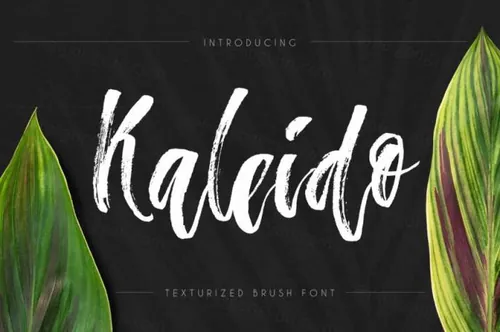 脚本笔刷字体 Kaleido  script brush font