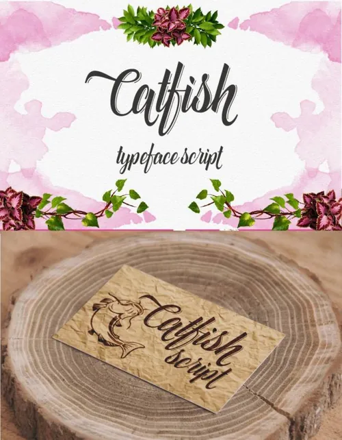 独特的脚本字体 Catfish script