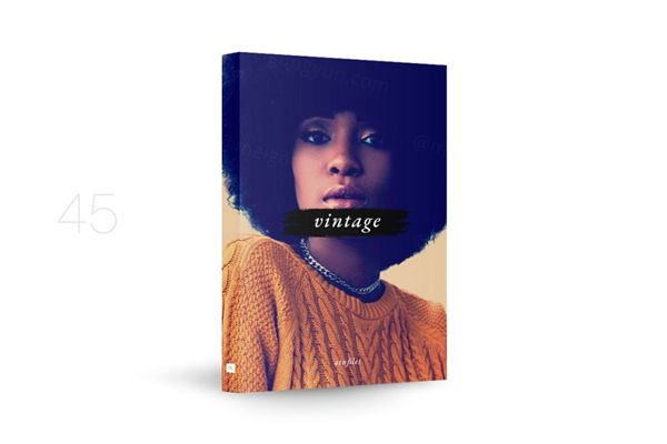 45款高点复古风格调色PS动作 VINTAGE - Photoshop