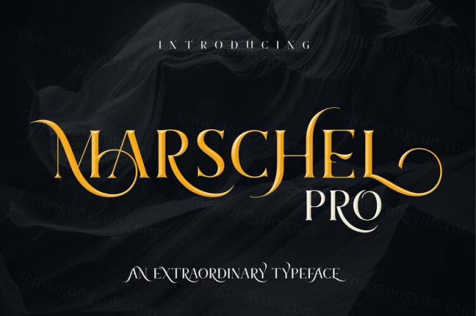 独特风格的字体集 Marschel Pro