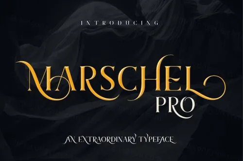 独特风格的字体集 Marschel Pro