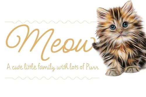 可爱手写字体 Meow ROB Script Family