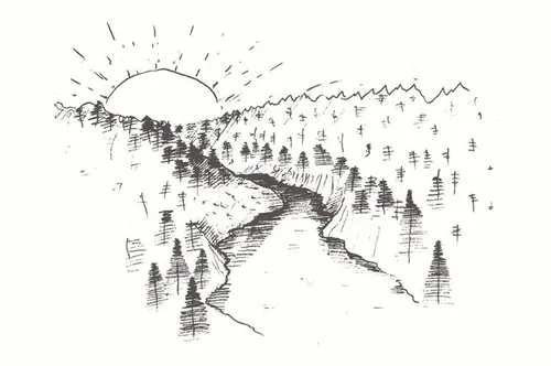 手绘森林景观矢量插图Fir forest at the sunrise