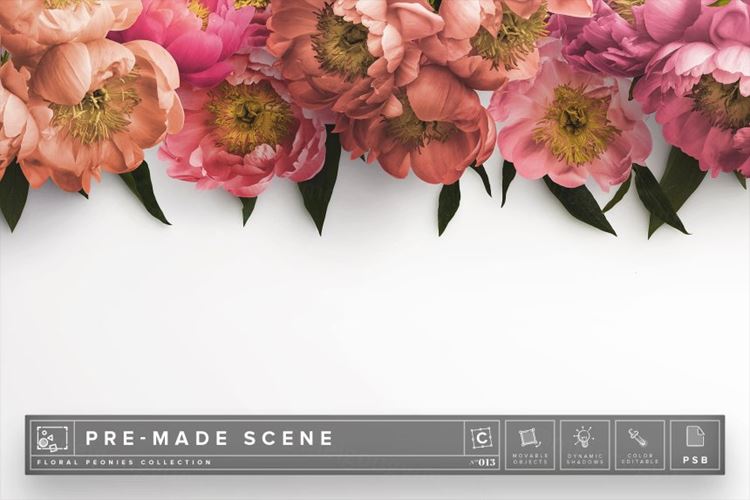 花卉广告场景设计素材 Floral Peonies Mockup Scene
