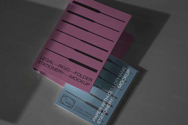 高质量文件夹品牌VI设计贴图展示样机模板 Psd Folde