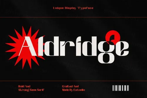 现代酷炫大胆的服装设计品牌广告排版英文无衬线字体 Aldridge - Modern Display Font