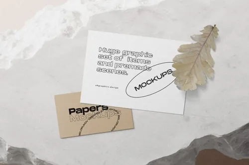 纸张卡片橡树叶场景贴图品牌提案样机模板 Paper Cards With Oak Leaf Mockup Top View