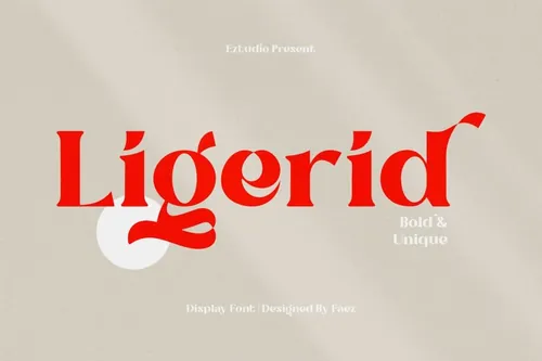 精美别致时尚的数字设计贺卡排版英文衬线字体 Ligerid - Chic Serif Font