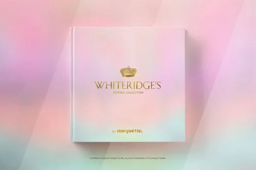 优雅时尚书籍模型PSD贴图模板Square Book Mockup Vol004