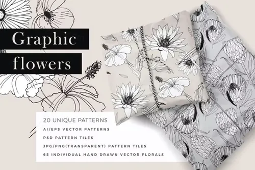 20款优雅的线稿花朵插图矢量图案素材 Graphic Flo