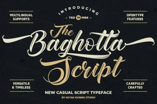 一款休闲Hand Lettering风格的手写英文字体 The Baghotta Script