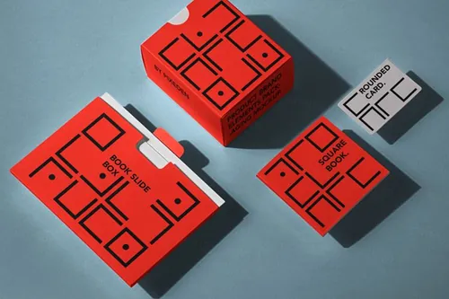 盒子卡片文件夹名片品牌VI设计贴图展示样机模板 Brandi