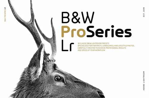 时尚经典的系列高端Lightroom预设b-w-proseries-l