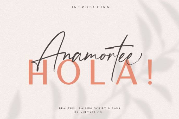 可爱的手写英文连笔字体 Anamortee // Modern Calligraphy Font