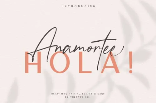 可爱的手写英文连笔字体 Anamortee // Modern Calligraphy Font