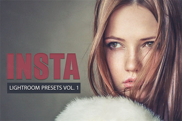 高端艺术人像照片insta filter lightroom