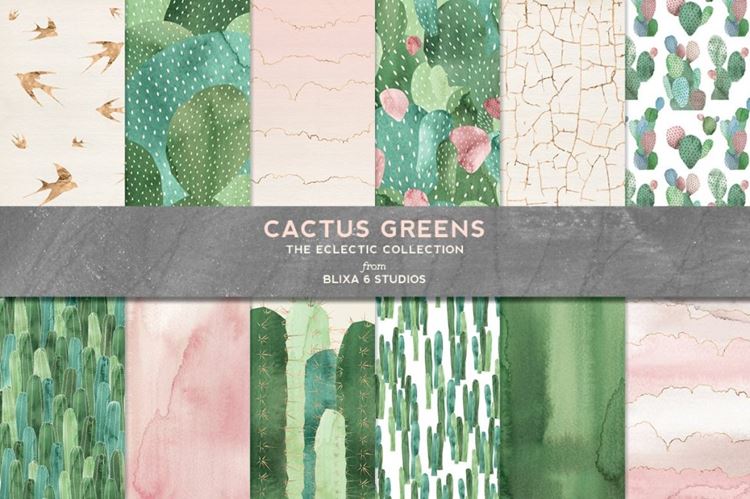 水彩手绘沙漠仙人掌玫瑰金箔燕子图案合辑 Cactus Gre
